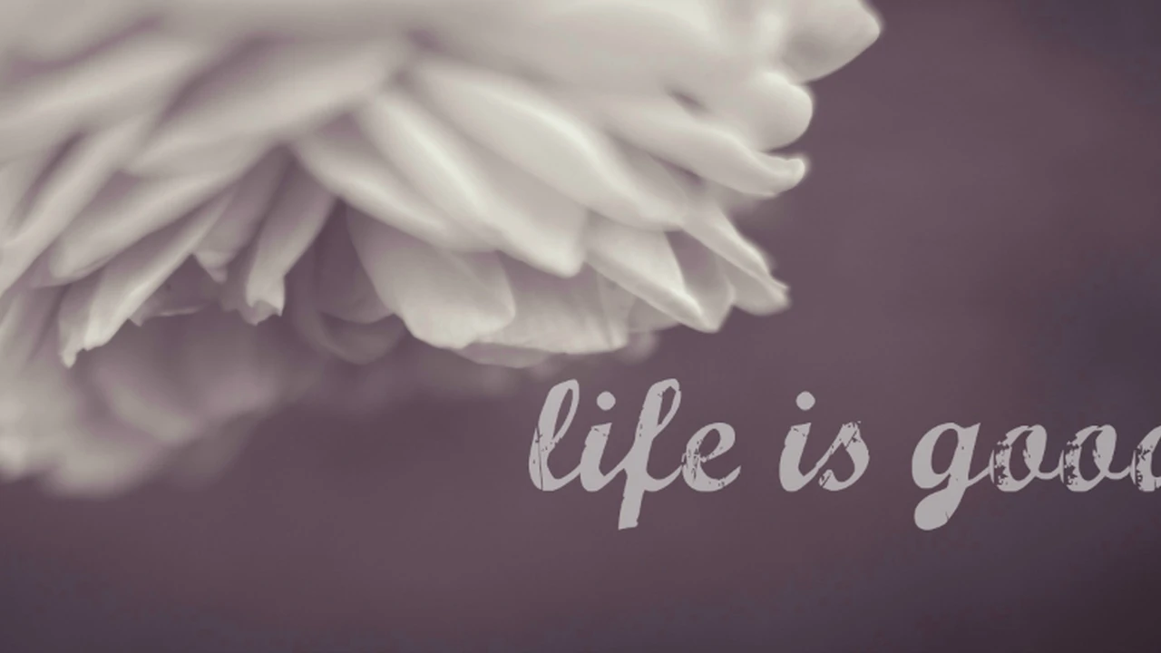 overhead view of corned beef sliced and on a platter with cabbage, potatoes, and carrots